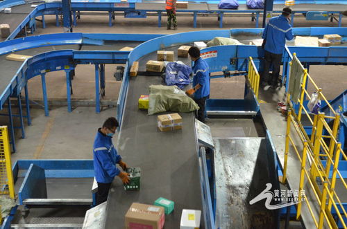 雙十一 農產品外銷更暢通 快遞小哥收入更高