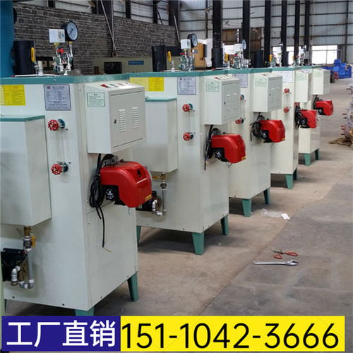 2021歡迎訪問 山東省濱州市全自動燃油蒸汽發生器 股份集團